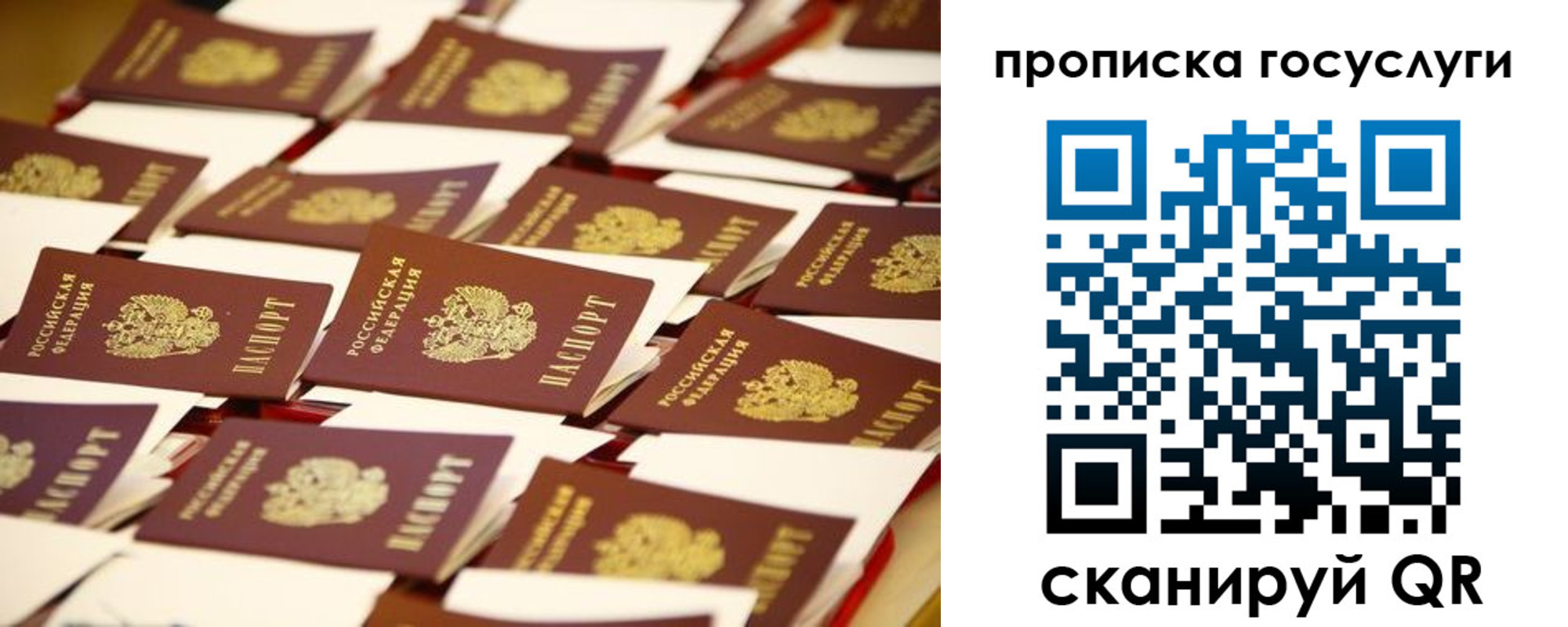 найти адрес прописки в Рославле